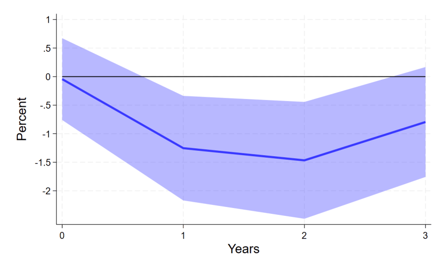 Figure 7: Differential Debt Response by Firm Size